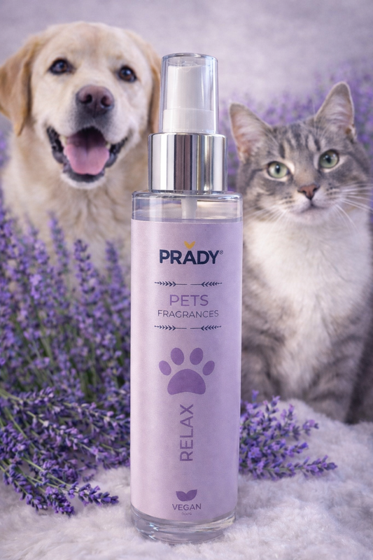 Brume lavande pour animaux